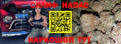 прущие грибы Апшеронск