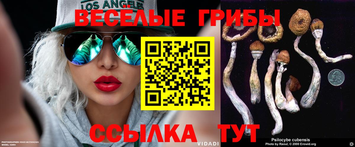 Ачхой-Мартан  Псилоцибиновые грибы прущие грибы  Вход с VPN 